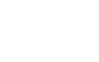 Pebisnice